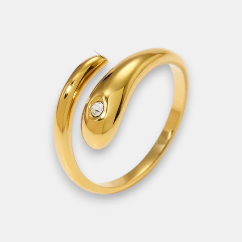 ANILLO N14
