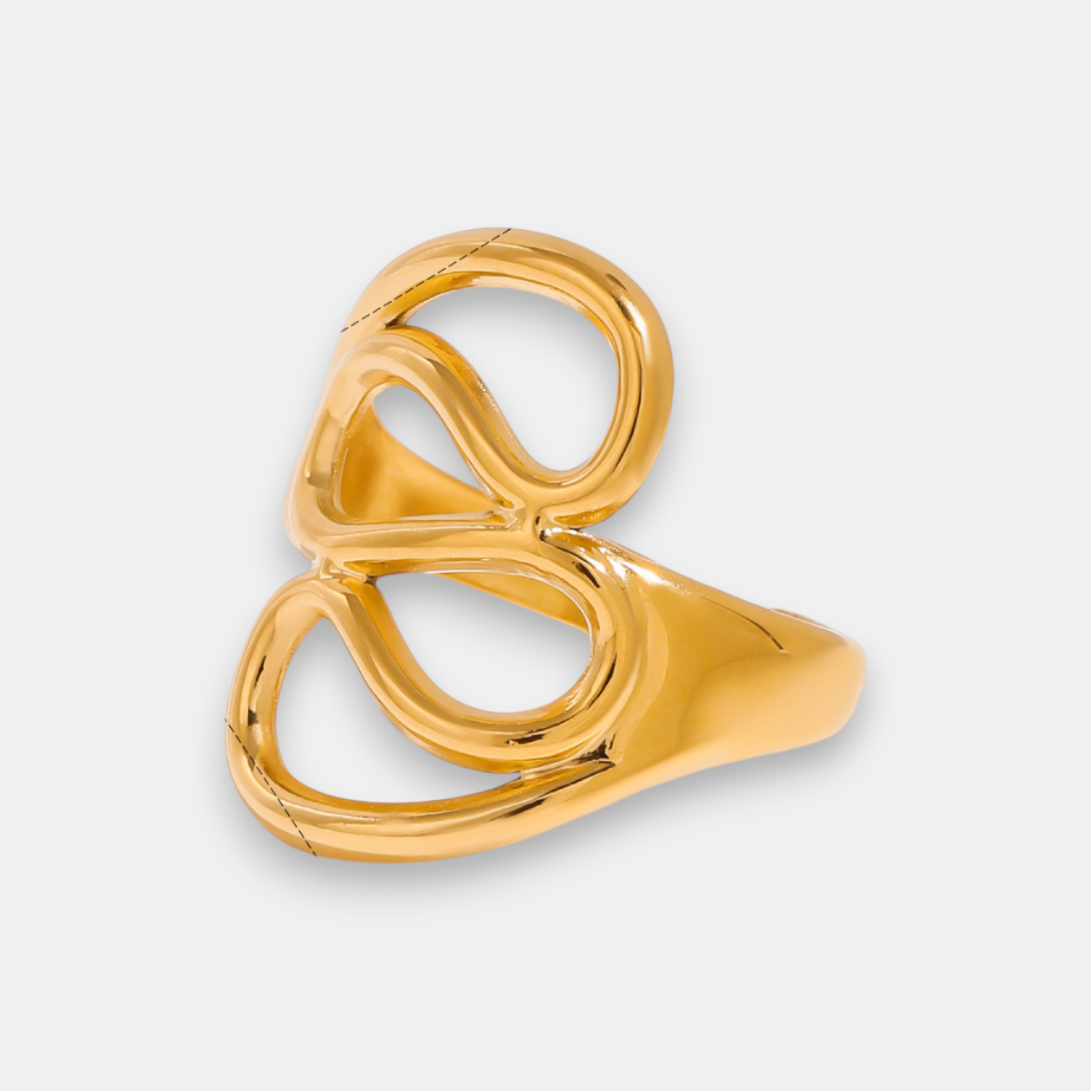 ANILLO N21