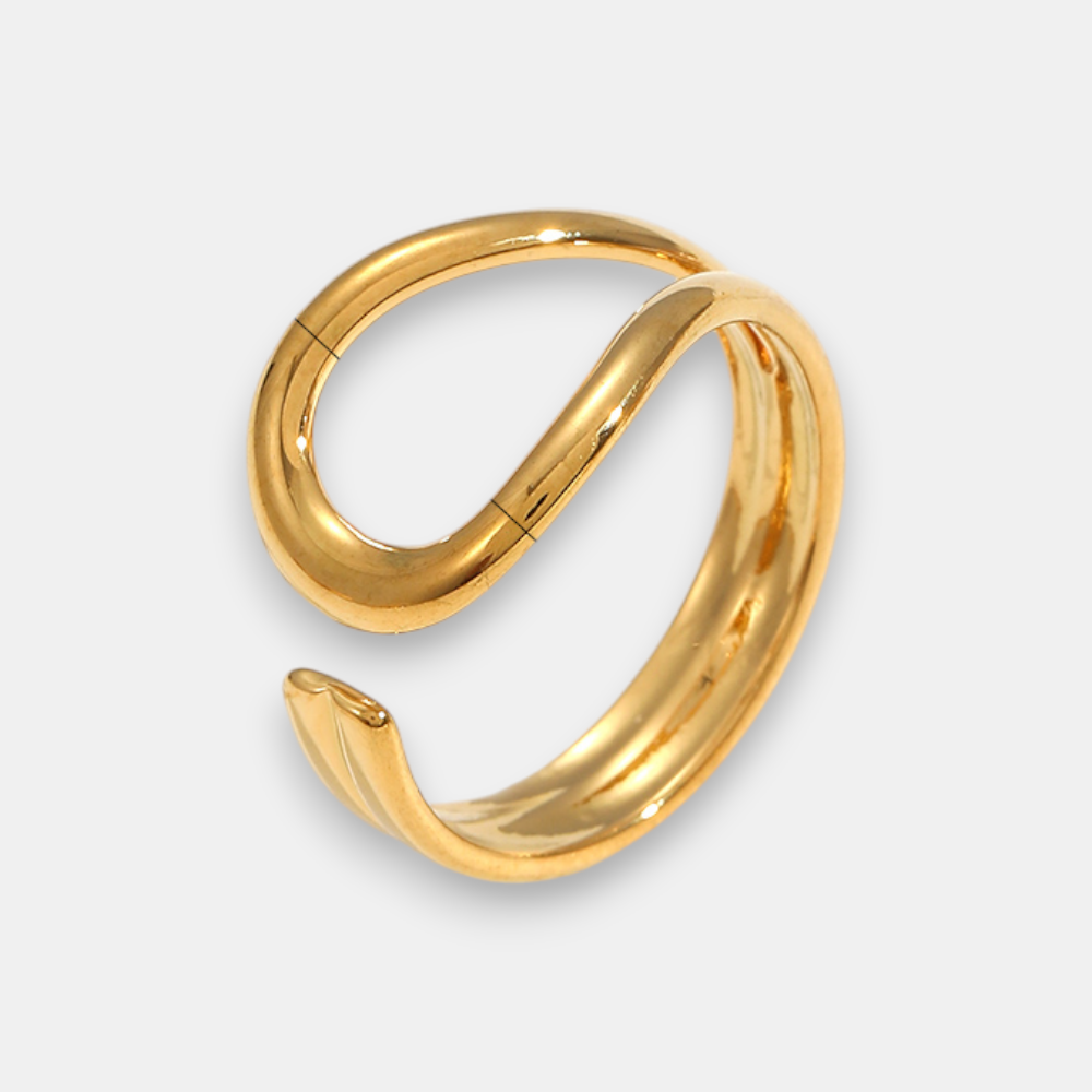ANILLO N23