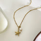 COLLAR C66