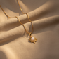 COLLAR C73