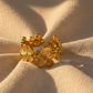 ANILLO N67